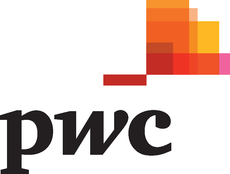 PwC_Logo_ 2015_2017